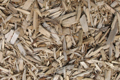 biomass boilers Duloch